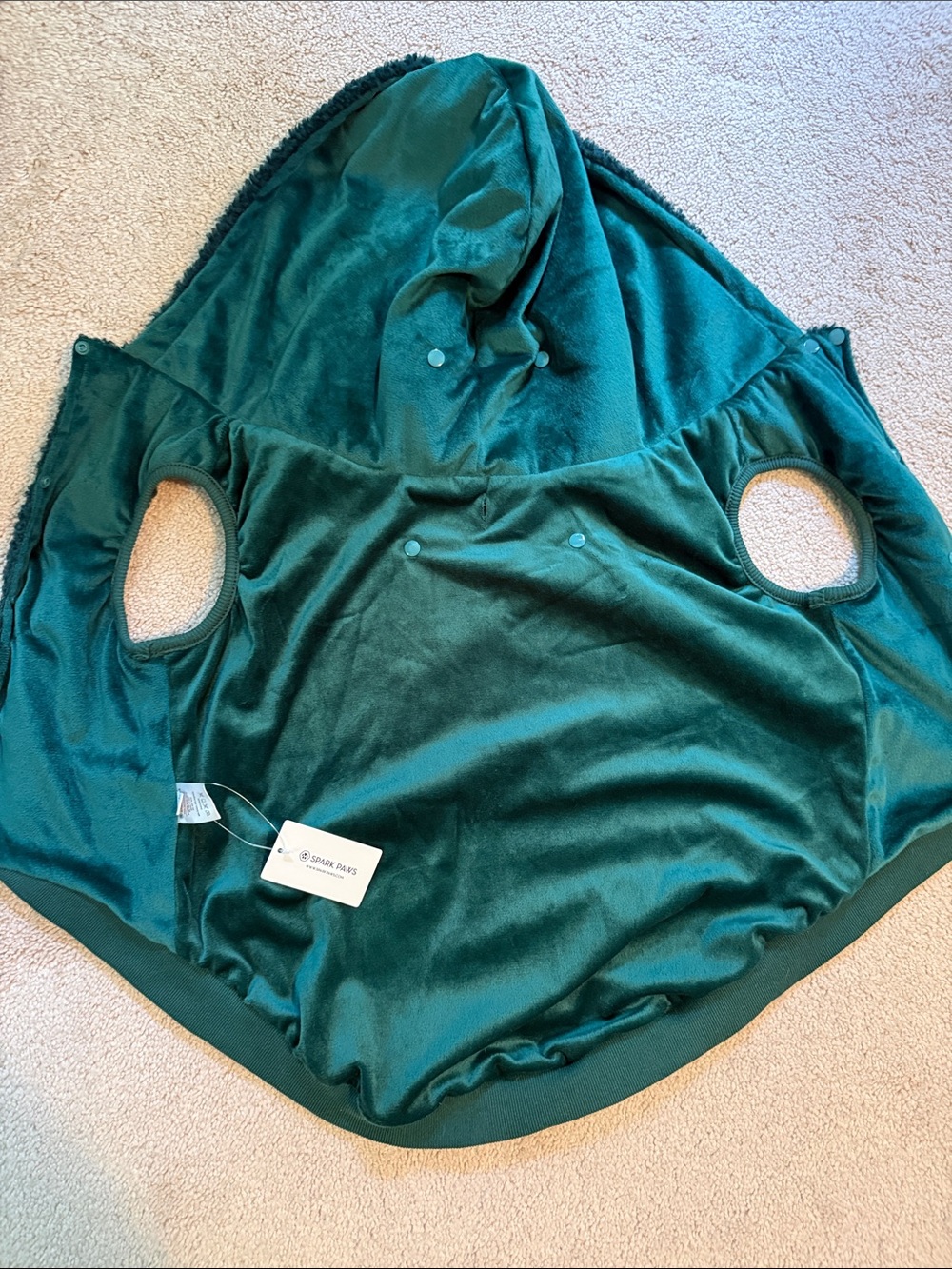 Cozy Emerald Green Dog Hoodie
